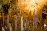 /album/galerie-foto/images-10-jpg1/